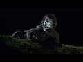 Komodo 1999 Full Movie AI Upscaled 1080p
