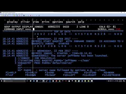 Start RDV and z/OS Connect Servers