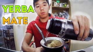 VI SPIEGO LA YERBA MATE