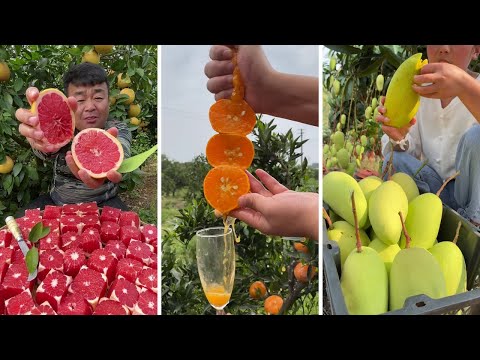 Farm Fresh Ninja Fruit Cutting | Oddly Satisfying Fruit Ninja #11