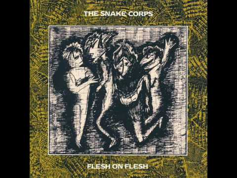 The Snake Corps In Flux