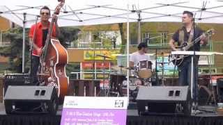 (2)Hurricane Felix & the Southern Twisters - Lilac Festival 2012