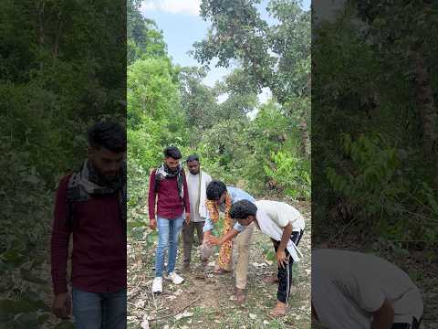 Kua se saap ko nikala #sanake #snakerescue #friends #newthought #gaon #saap #kuamesaap #harshbhau