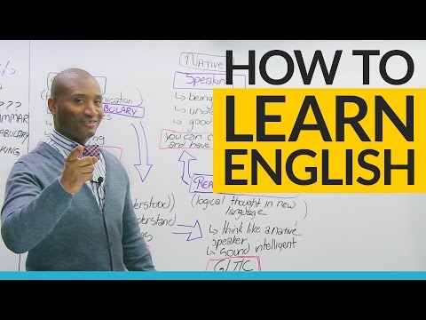 Steps to Learning English: Where should you start?