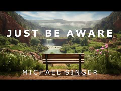 Michael Singer - Just Be Aware