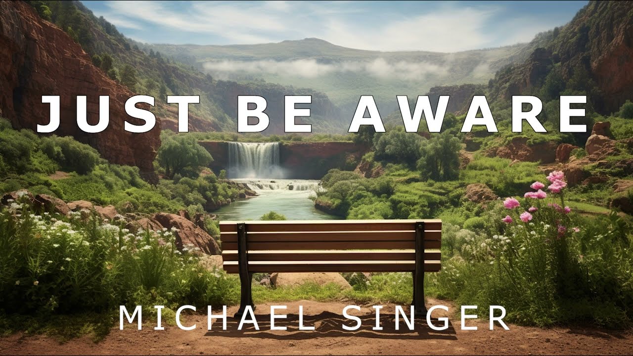 Michael Singer - Just Be Aware