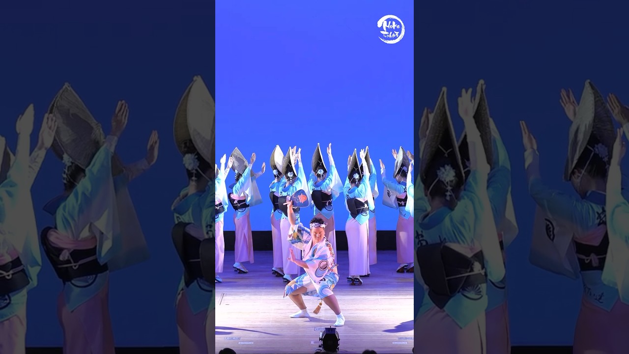 菊水連 はなはるフェスタまだかなぁ #阿波おどり#阿波踊り#阿波舞#さくら