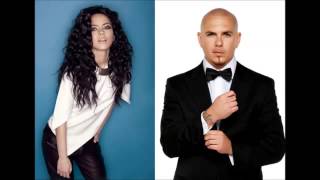 Pitbull ft Inna   All The Things Pitbull new songs 2014New album Global Warming Meltdown