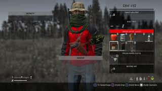 DayZ_20250219112956