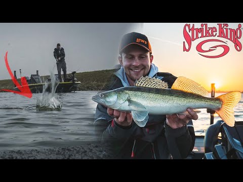 Using finesse techniques for perch, zander, and more | Strike King | Fox Rage | Predator fishing