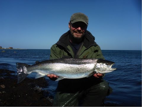 fiskeri-paa-nordvestsjaelland