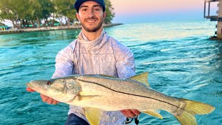 Offshore Letdown | Snook Showdown | CCC