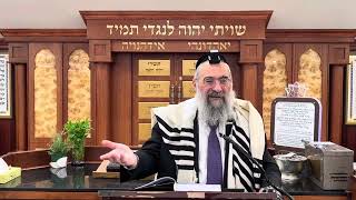 מתי טוב להחמיר לבשל בערב יום טוב (הרב יצחק ישראלי) - התמונה מוצגת ישירות מתוך אתר האינטרנט יוטיוב. זכויות היוצרים בתמונה שייכות ליוצרה. קישור קרדיט למקור התוכן נמצא בתוך דף הסרטון