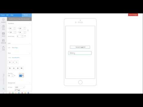 Video Image