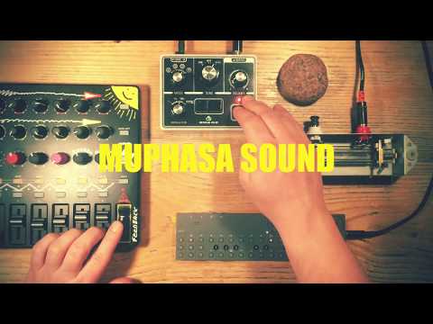 echotree - Swirling' Ships | An OP-Z Dub