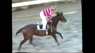 Download lagu THE CYPRUS DERBY 1994 TRIDIMOS NEOFYTOS mp3 Download lagu THE CYPRUS DERBY 1994 TRIDIMOS NEOFYTOS mp3