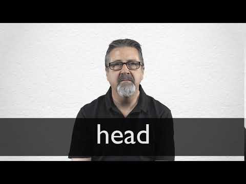 Head Definition And Meaning Collins English Dictionary