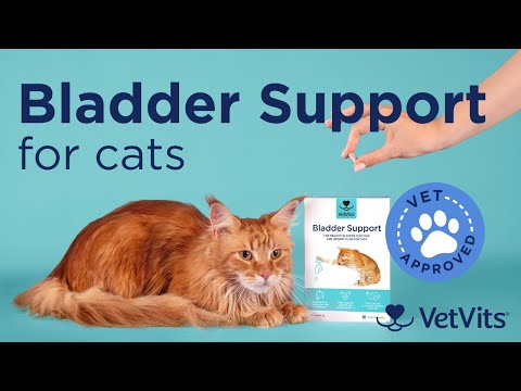 VetVits Bladder Support for Cats