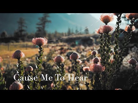 685 SDA Hymn - Cause Me to Hear (Singing w/ Lyrics)