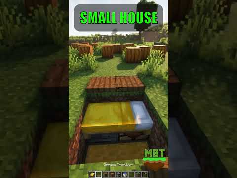 Minecraft Building Tips - Smallest House in Minecraft Build #minecraftbuilding #minecraftshorts #minecraft