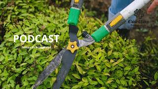PODCAST  TALLER JOVEN JARDINERÍA 2025