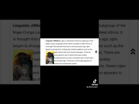 WAVY JEW DEBUNKS THE HEEBO-IGBO CONNECTION #hebrew #igbo #Linguistics #fyp #jews #israelites