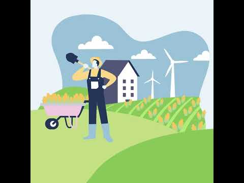 The truth about biofuel feedstocks: Corn