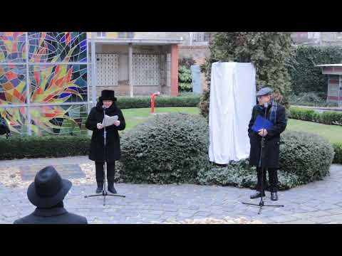 A mi hősünk: Tóth Potya István