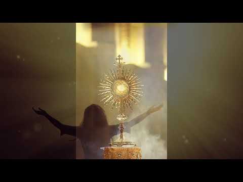 Slavilna skupina Veselje - Pred teboj