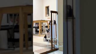 全然来ない愛犬