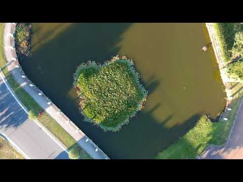 Koloveč červenec 2018