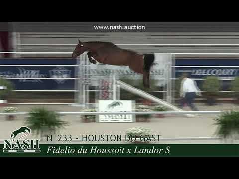 N°233 - HOUSTON DU GAST - TRAINING Ventes Elites NASH 2020