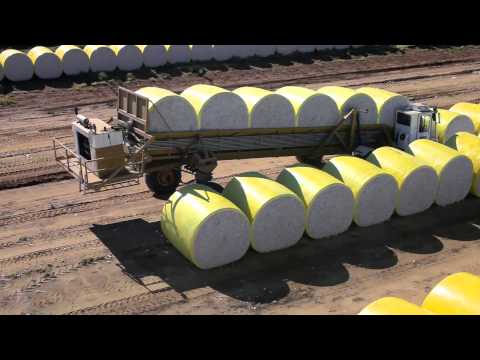 Southern Cotton Gin
