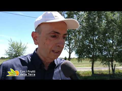 A Cielo Aperto 28/8/2022 - 4° parte