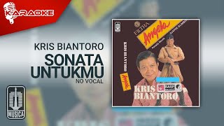 Download lagu Kris Biantoro - Sonata Untukmu ( Karaoke Video) | No Vocal mp3
