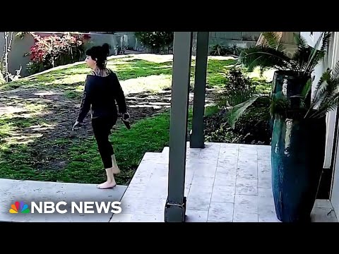 Video shows California police shooting Weezer bassist's wife