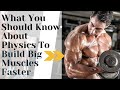What You Should Know About Physics to Build Big Muscles Faster! ll Ways to Build Big Muscle