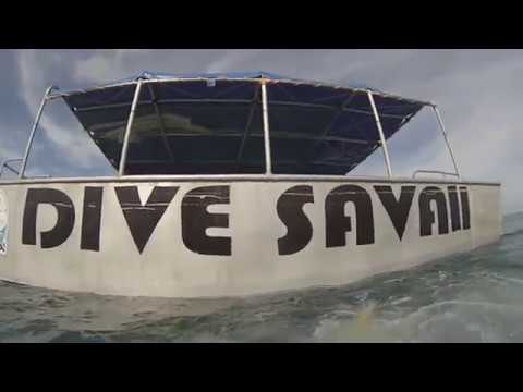 Samoa Scuba Diving - Savai'i