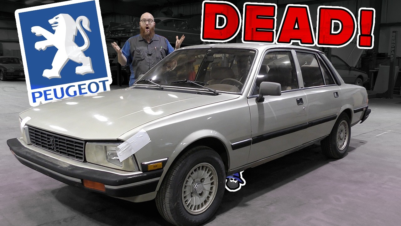 A "SPECIALTY" Shop KILLED This Peugeot 505 S! Can I Save It?