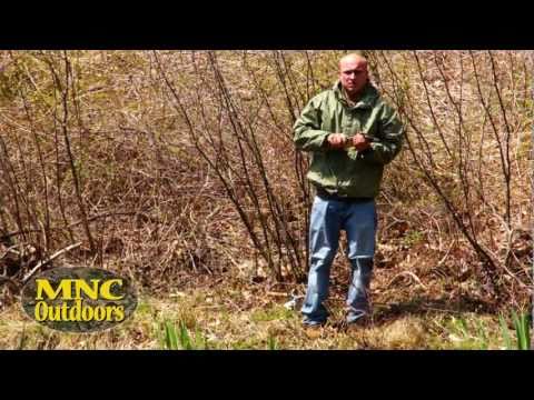 MNC Outdoors – Early Spring Pond Fishing in Haddam Connecticut