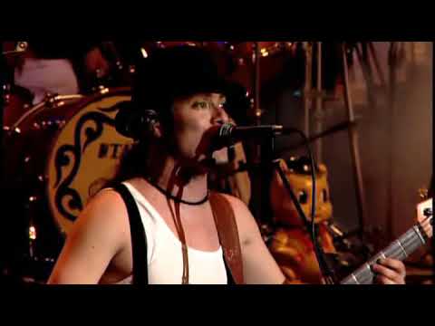 Paquidermo - Chancho 6