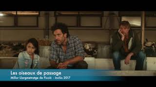 OCELLS DE PAS Millor llargmetratge ficcioÌ InclÃºs 2017