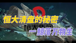 恒大清盘的秘密，一鲸落万物生