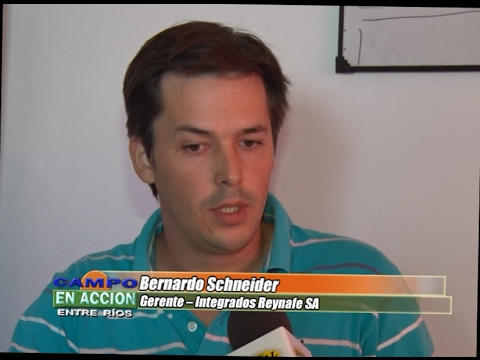 Bernardo Schneider - Integrados Reynafe SA