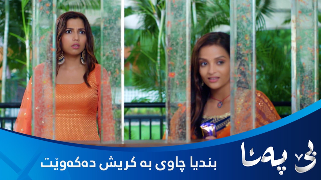 ڤیدیۆ | بندیا چاوی بە کریش دەکەوێت