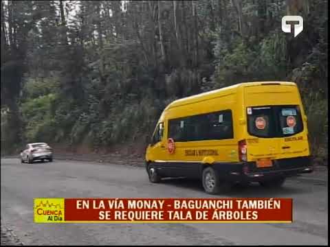 En la vía Monay - Baguanchi también se requiere tala de árboles