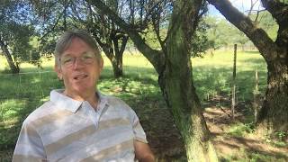 The Business Of The Kingdom Of God