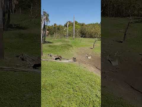 Lugar Feito pela Natureza em planalto da Serra Mato Grosso