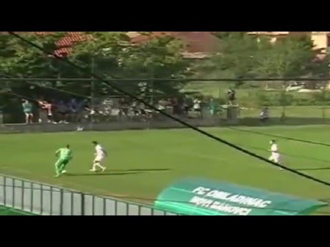 Dragoslav Petrovic - Goalkeeper