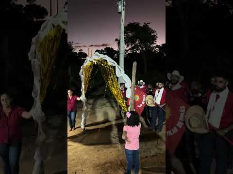 Chegada da Folia do Divino, Pilar de Goiás 2025.